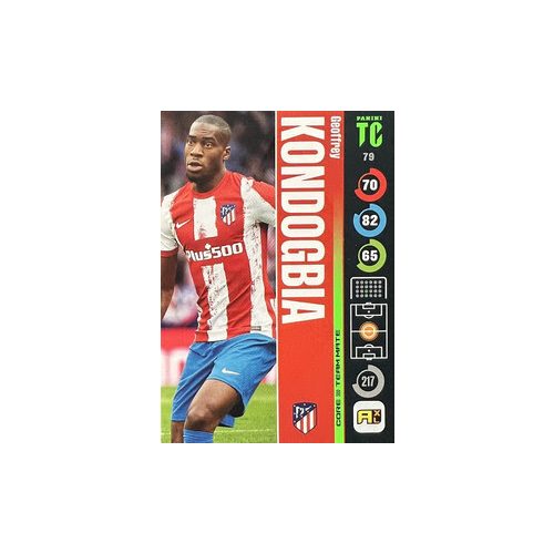 079. Geoffrey Kondogbia