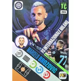255. Marcelo Brozović - Idol