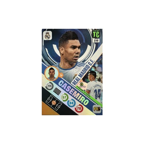 210. Casemiro - Idol