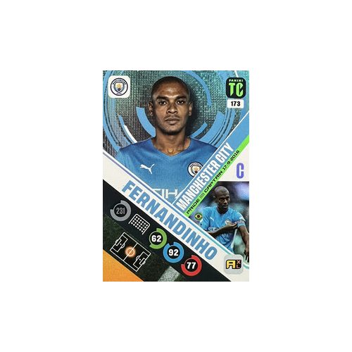 173. Fernandinho - Captain