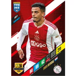 AJA 3.  Owen Wijndal