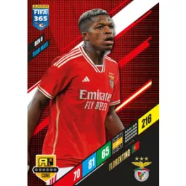 BEN 8.  Florentino