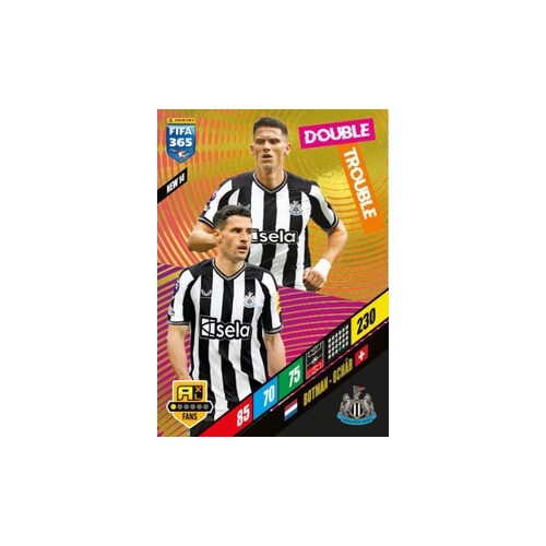 NEW 14.  Fabian Schär/Sven Botman