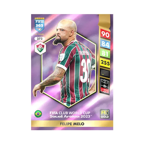 373.  Felipe Melo