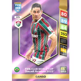 376.  Ganso