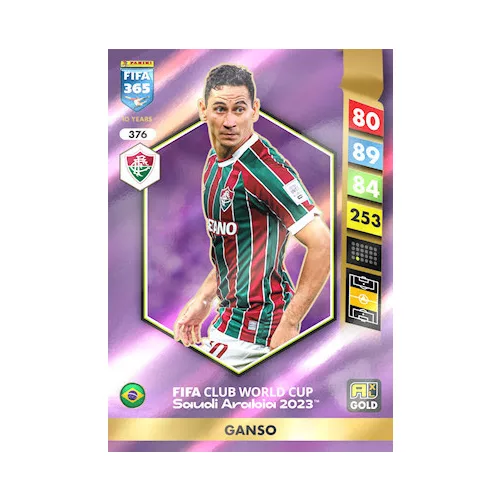 376.  Ganso