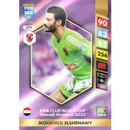 379.  Mohamed Elshenawy