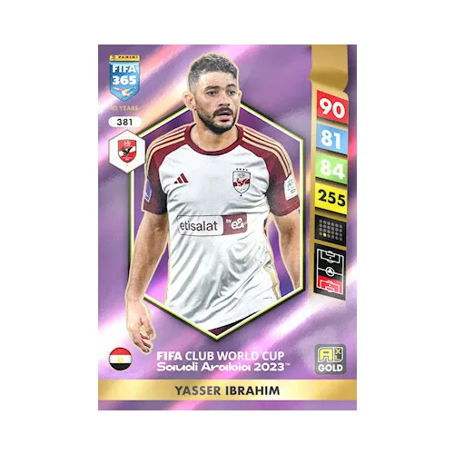381.  Yasser Ibrahim