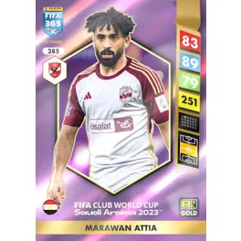 385.  Marawan Attia