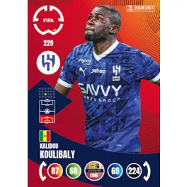 229. Kalidou Koulibaly