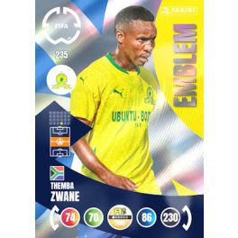235. Themba Zwane