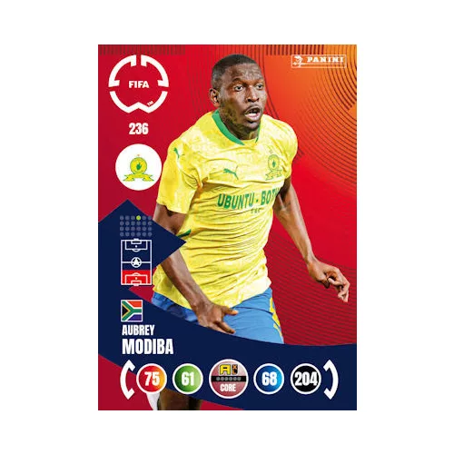236. Aubrey Modiba