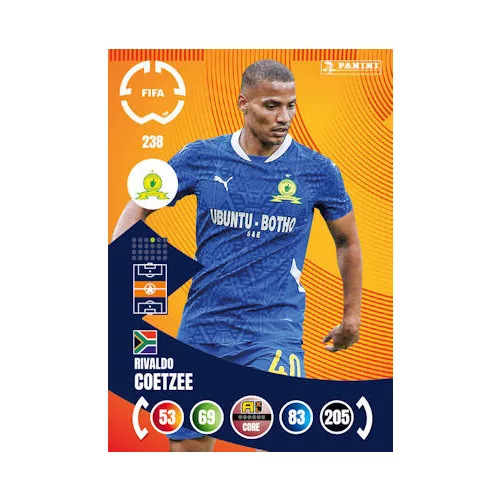238. Rivaldo Coetzee