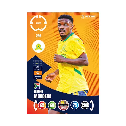 239. Теbohо Mokoena