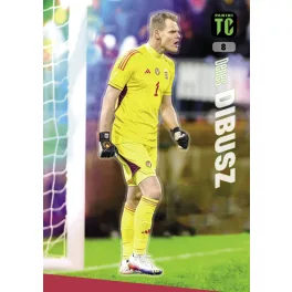 8. Dibusz Dénes