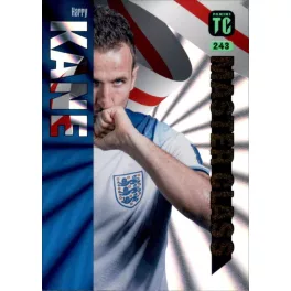 243. Harry Kane