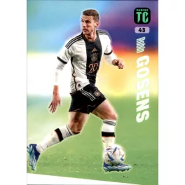 43. Robin Gosens
