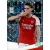 Martin Odegaard - Holo Giant