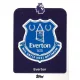 127. Everton Logo