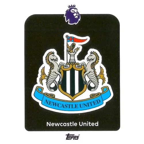 217. Newcastle United Logo