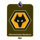 289. Wolverhampton Logo