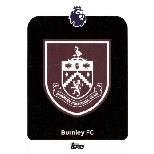 307. Burnley Logo
