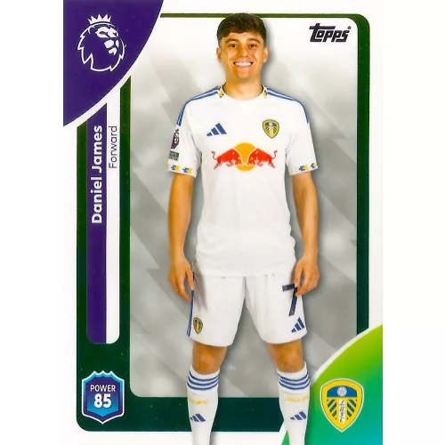 337. Daniel James 