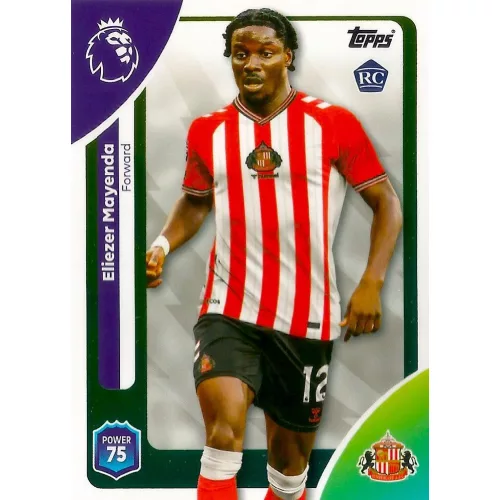 356. Eliezer Mayenda 