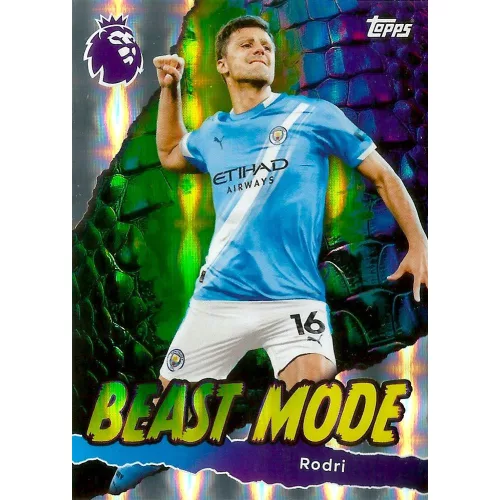431. Rodri