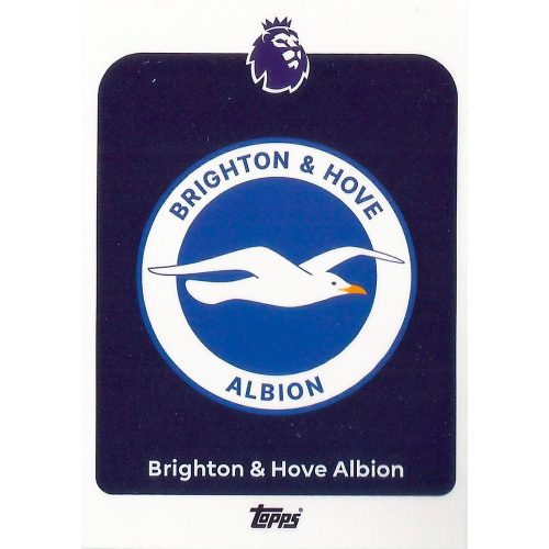 73. Brighton Logo