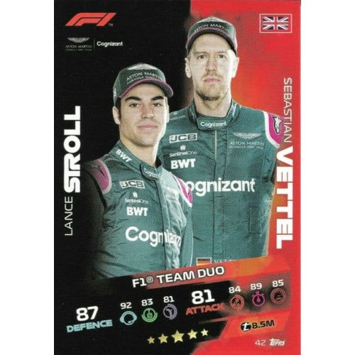 42. Lance Stroll/Sebastian Vettel - F1 Team Duo