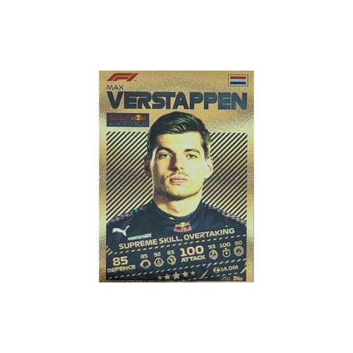 251. Max Verstappen - Supreme Skill, Overtaking