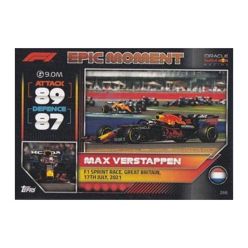 266. Max Verstappen - Epic Moment