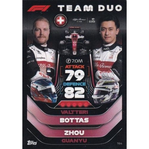 164. Valtteri Bottas/Zhou Guanyu - Team Duo