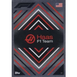 91. HAAS F1 Team - Logo