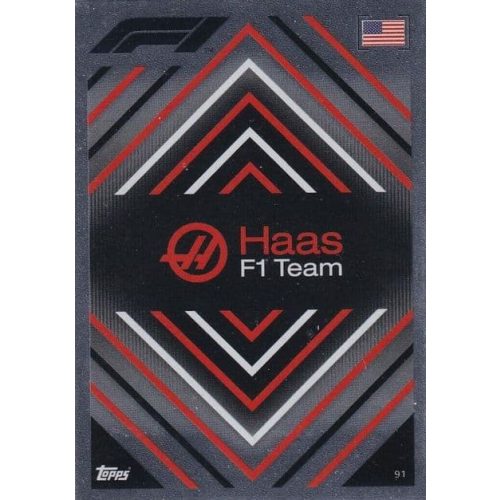 91. HAAS F1 Team - Logo