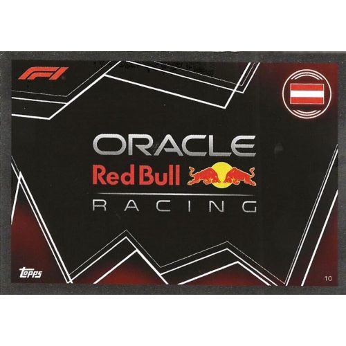 10. Red Bull Racing Team Logo