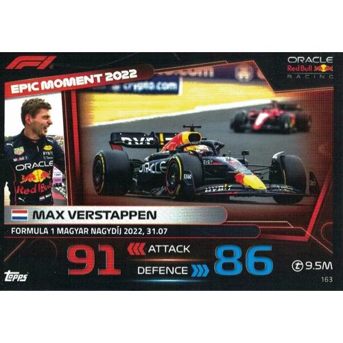 163. Max Verstappen - Epic Moments