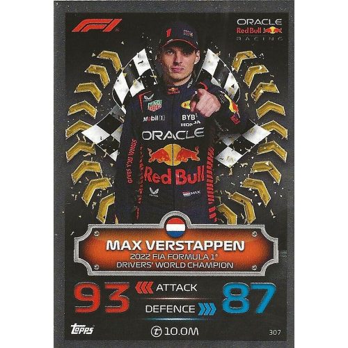 307. Max Verstappen F1 - Champion Cards