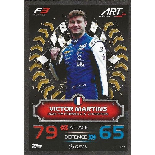 309. Victor Martins F3 - Champion Cards