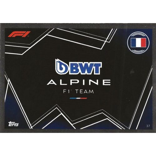 37. Alpine Team Logo