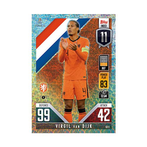 11. Virgil van Dijk