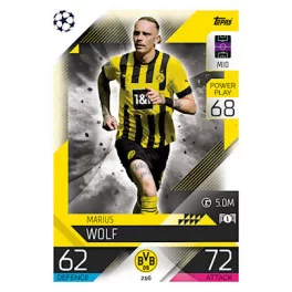 216. Marius Wolf