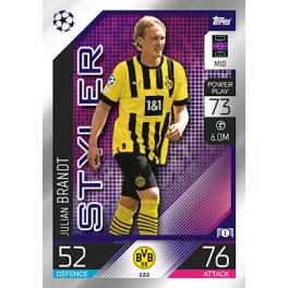 222. Julian Brandt - Styler