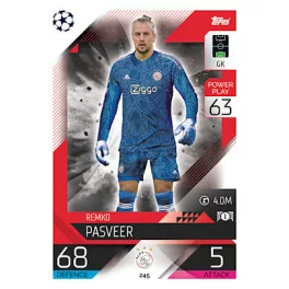245. Remko Pasveer