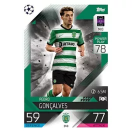 313. Pedro Gonçalves