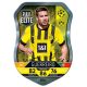 Guerreiro - Pro Elite Shield