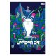 181. UEFA Champions League