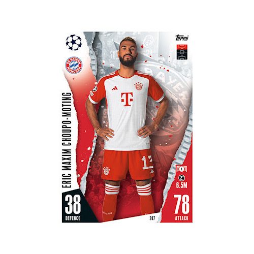 207. Eric Maxim Choupo-Moting 