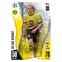 219. Julian Brandt 